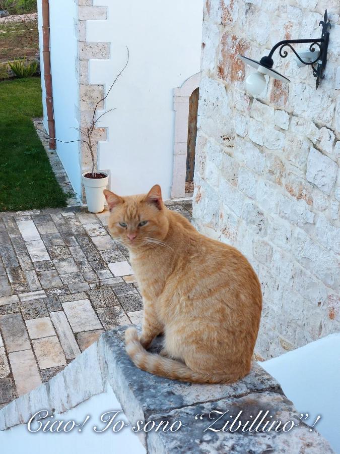 Balice Antica Dimora Bed & Breakfast Monopoli Bagian luar foto